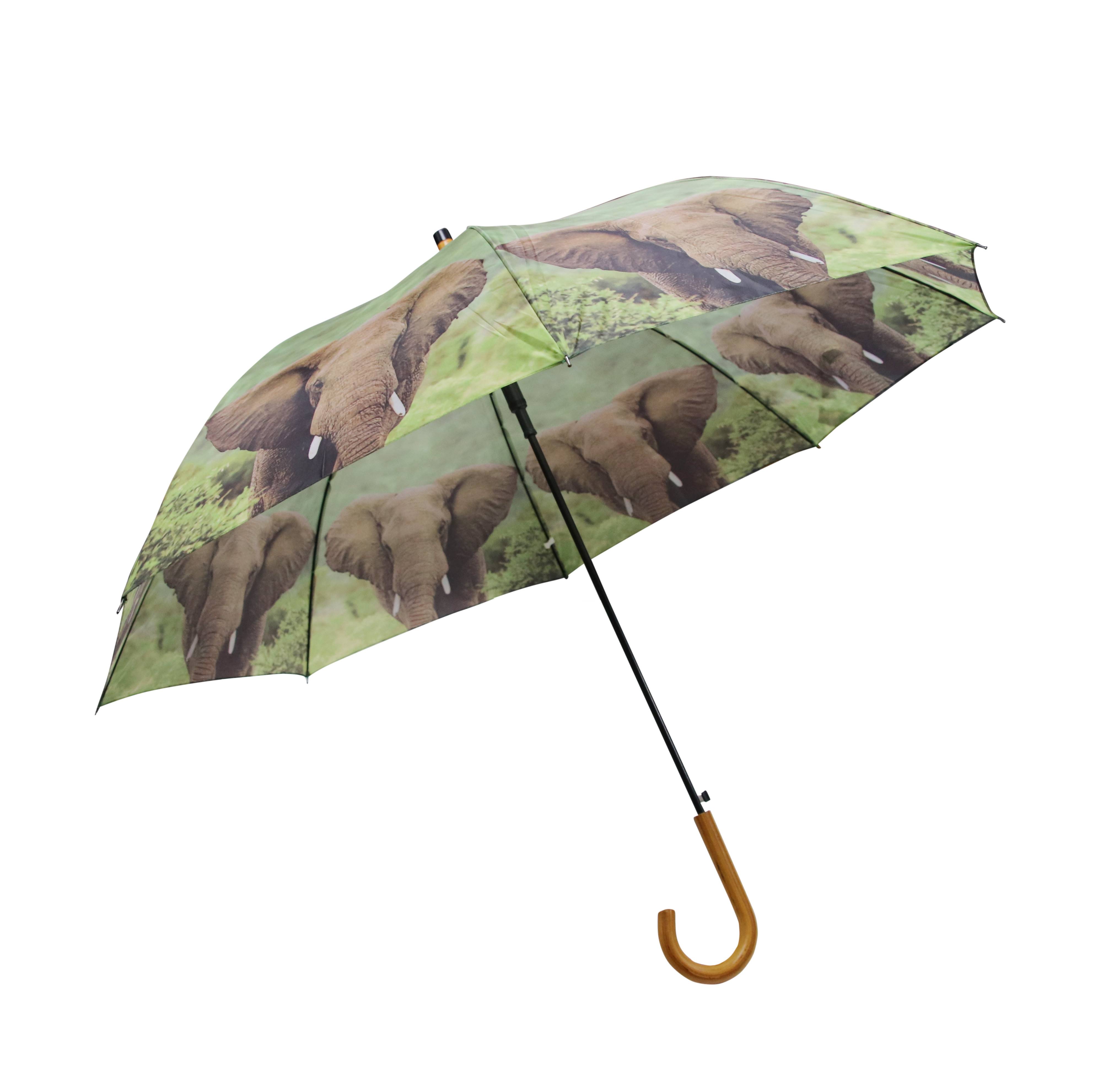 Zoo umbrella